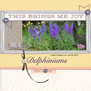 Delphiniams