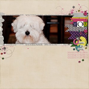 Izzy Pizzy