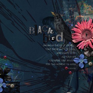 Blackbird