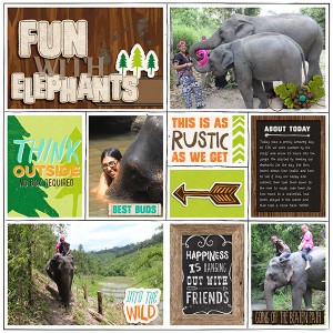 Fun With Elephants