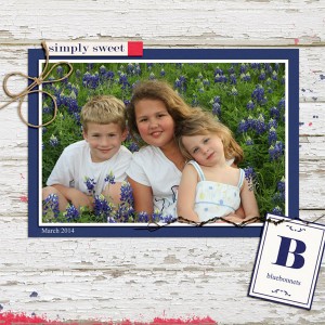 Bluebonnets 2014