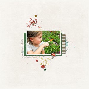 butterfly garden