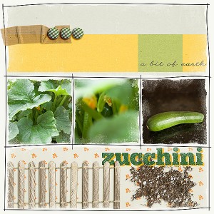 zucchini