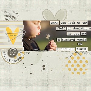 wish-come-true