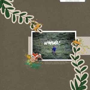 Wander
