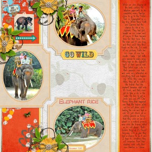 Elephant Ride