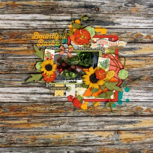 bountiful basket