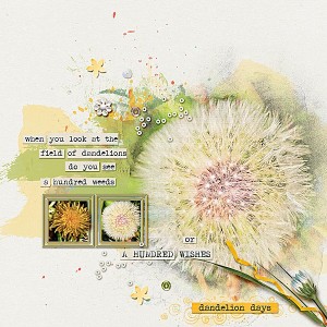 Dandelion Days