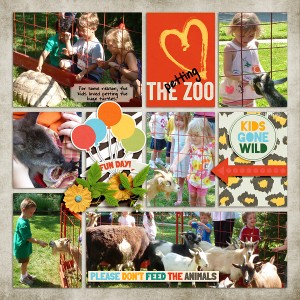 The Petting Zoo