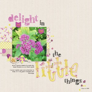 Delight in the Little Things