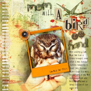 A Bird in Hand