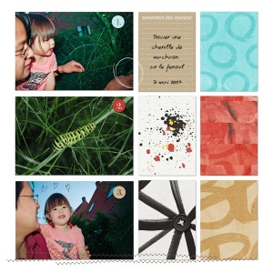 Caterpillar hunting