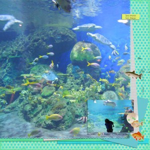 Jamie and the sea turtles
