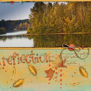Reflection