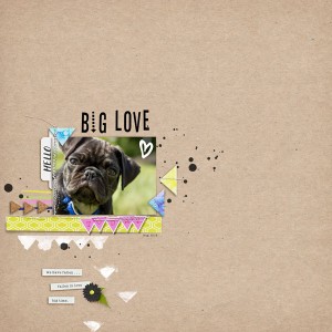 Big Love
