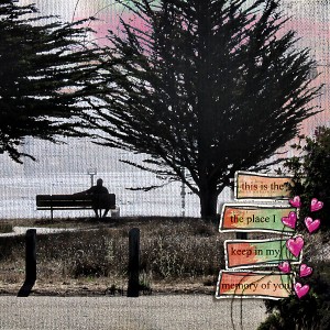 the bench