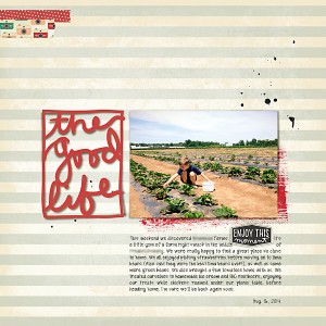 strawberry picking