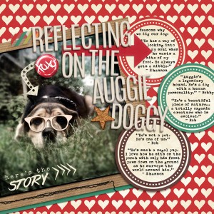 Reflecting on the Auggie Doggy