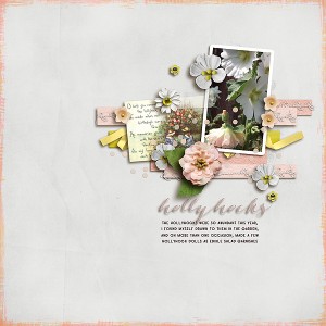 hollyhocks