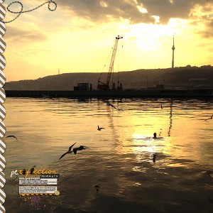 reflection perfection