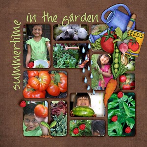 Summertime in the Garden