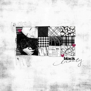 black beauty