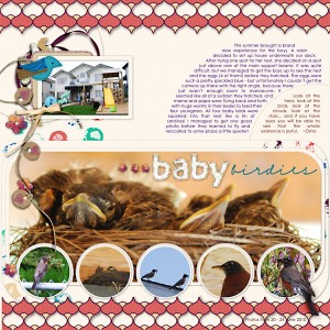 Baby Birdies