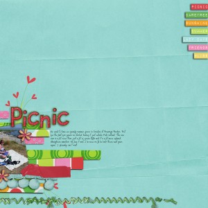 Picnic