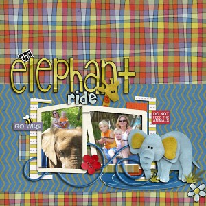 Elephant Ride