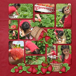 Pickin' Strawberries