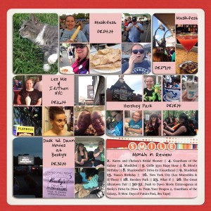 August 2014 (in review) (2)