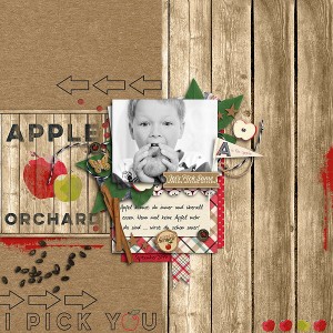 Apple Orchard