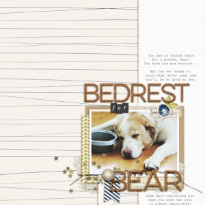 Bedrest for Bear