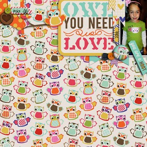 Owl you Need is Love