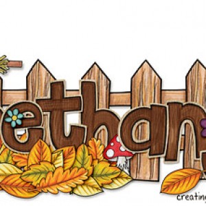 Fall Siggy