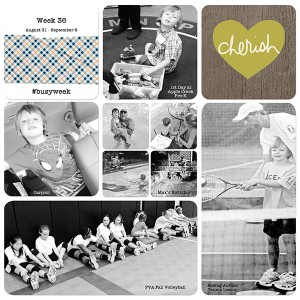 Week 36 - Project Life