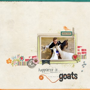 Lap-Full-of-Goats