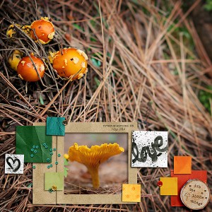 Forest Treasures