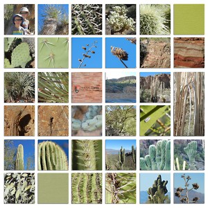 Tonto National Monument