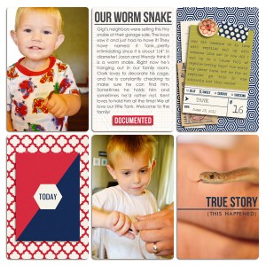 Worm Snake