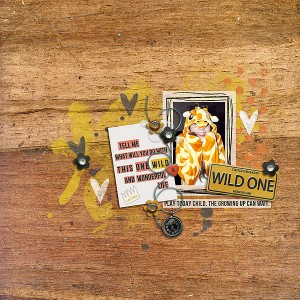 Wild One