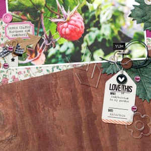 Rubus Idaeus