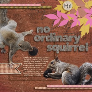 No Ordinary Squirrel