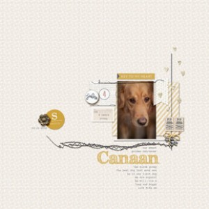 Canaan: the sixth prang