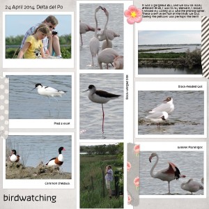 birds of river po