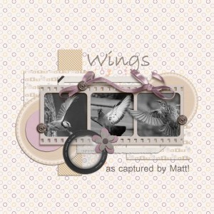 Wings!