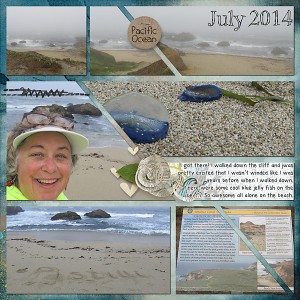Walk from Bay to Breakers b
