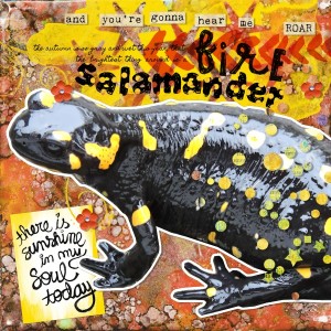 salamander - M3 challenge 4