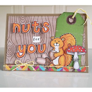 Nuts for you Hybrid card