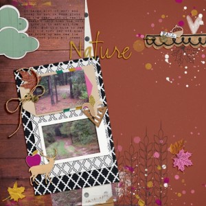 FallSeason